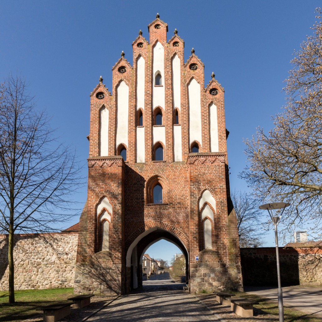 Das Neubrandenburger Tor bei blauem Himmel, umrahmt von kahlen Bäumen mit dem Hinweis Gewerbeanmeldung in Mecklenburg-Vorpommern