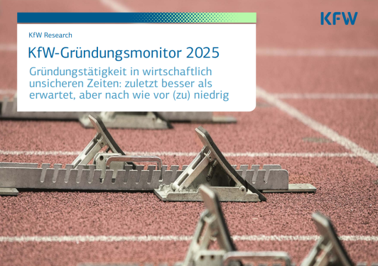 Screenshot vom Deckblatt des Gründungsmonitors 2025