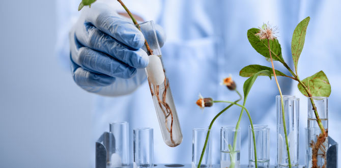 Symbolbild für EXIST-Gründungsförderung