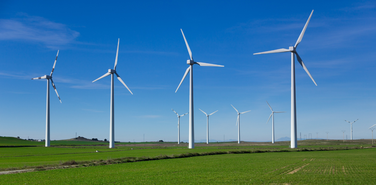 Windenergieanlagen in einer grünen Landschaft, passend zur Gesetzesnovelle Bürger- und Gemeindebeteiligung MV für Energie-Start-ups.