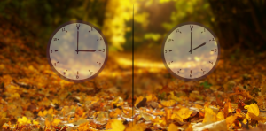 Symbolbild für die Zeitumstellung 2 analoge, runde Wanduhren vor einem herbstlichen Hintergrund