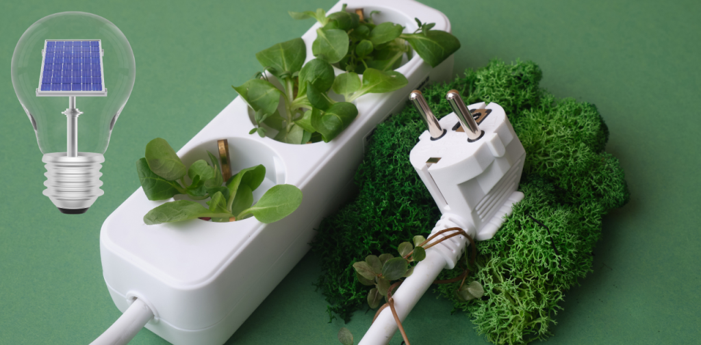 Symbolbild für grüne Energie: Aus einer Steckdosenleiste wachsen grüne Pflanze, links ist eine Glühlampe, in deren Mitte ein Solarpaneel steht